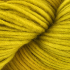 2020 - Spirulina