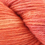 Sweet Tangerine