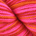 Zinnia