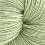 2339 - Celery