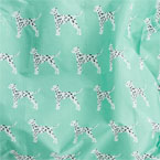 Dalmatian