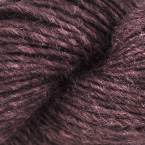 40 - Raisin