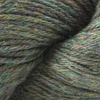 9338 - Lichen