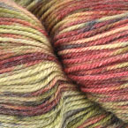 Rueppell's Griffon
