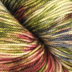 Rueppell's Griffon