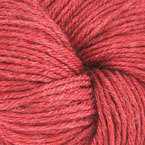 Rhubarb