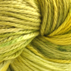 Catalpa (discontinued)
