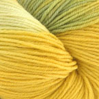 Catalpa (discontinued)
