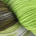 8106 - Kermit