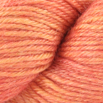 Blood Orange