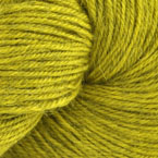 12 - Marigold