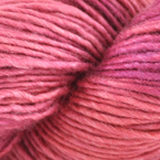 Red King Radish