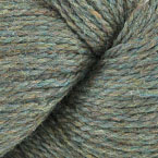 9338 - Lichen