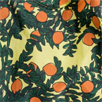 Orange Tree