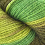 Envy (discontinued)