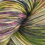 Bahama Woodstar