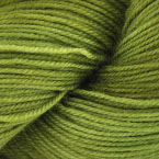 Fern Frond