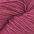 Raspberry-106