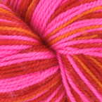 Zinnia