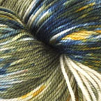 Northern Parula
