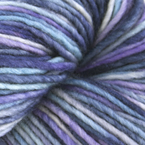 3123 - Bluejay