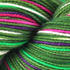 *New* - Trocilidae