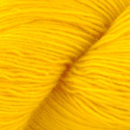 Egg Yolk