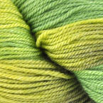Envy (discontinued)