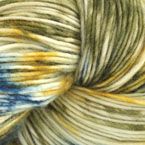 Northern Parula