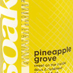 Pineapple Grove
