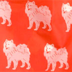 Chow Chow