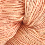 Apricot