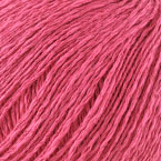27 - Persian Rose