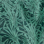 Palm
