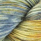 Northern Parula